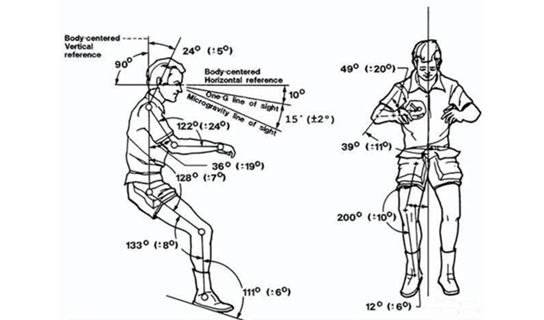 NASA中性人体姿势研究图